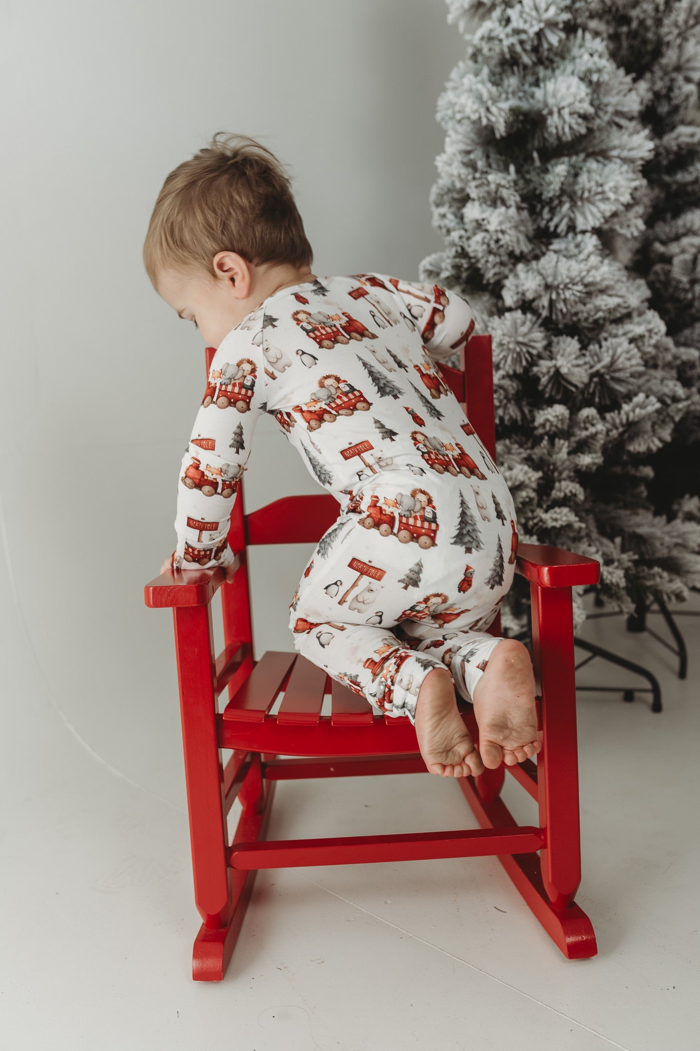 Zoo Express | Long Sleeve Set