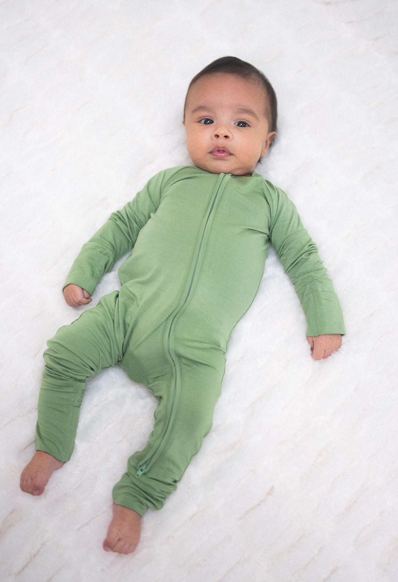 Evergreen Dreams | Zippy